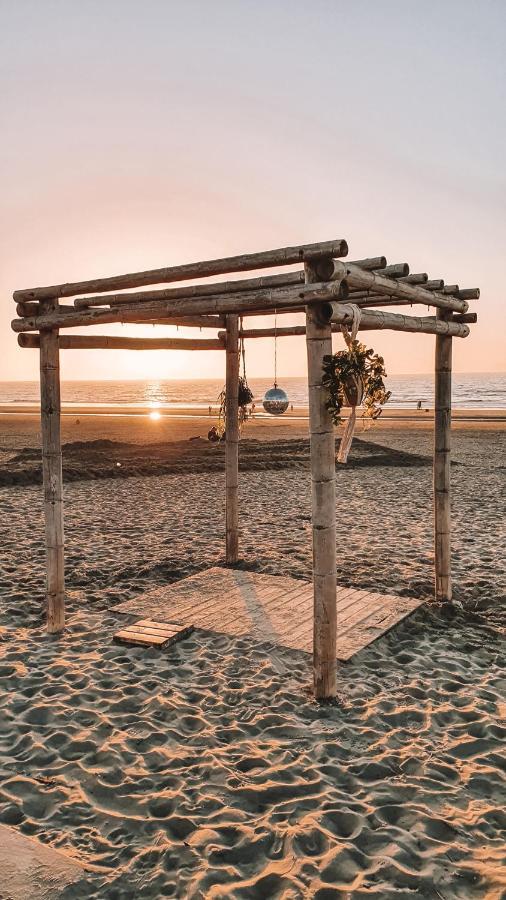 Little Beach House زاندفورت المظهر الخارجي الصورة